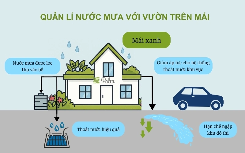 Vườn trên mái là gì? 11 Lợi ích nâng tầm giá trị căn nhà của bạn